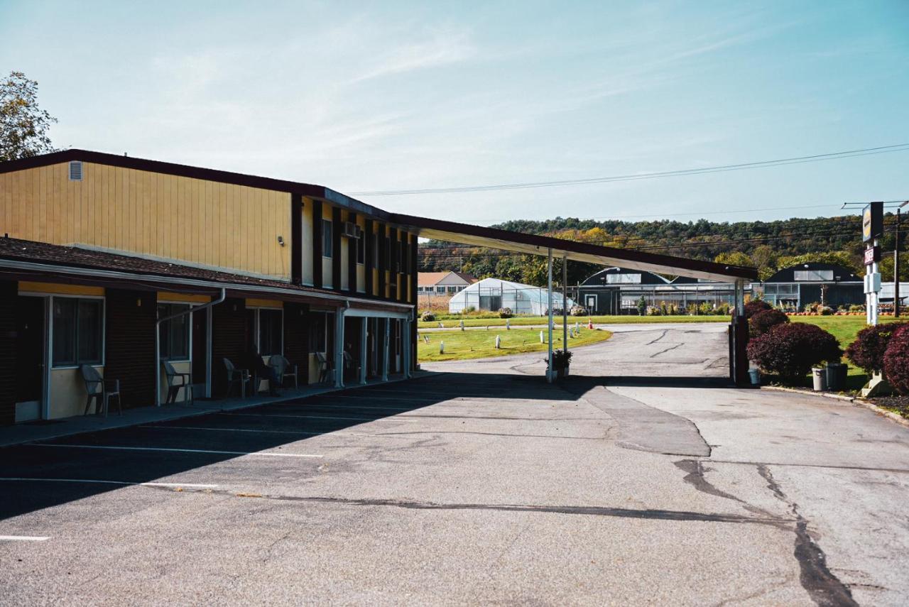 Sussex Motel Wantage Exteriör bild