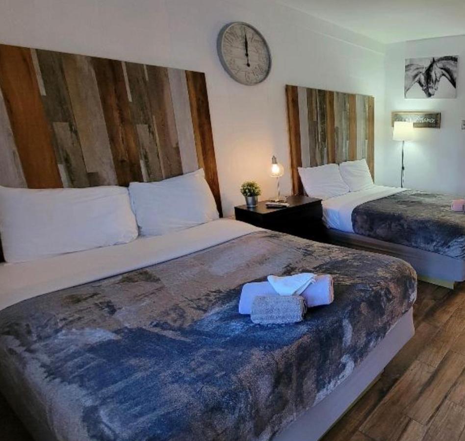 Sussex Motel Wantage Exteriör bild